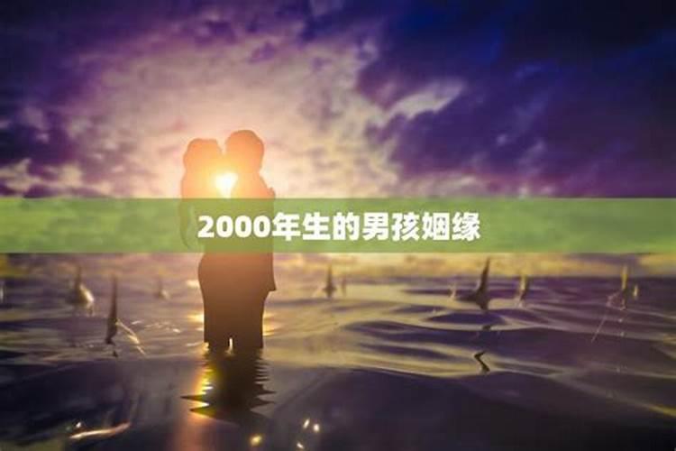 2003年阳历1月28日出生属什么生肖。按农历是属马。生肖是按阳历还是阴...