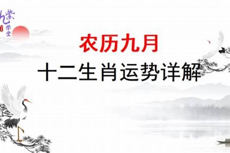 三合局 大富大贵 拥有成大器潜质
