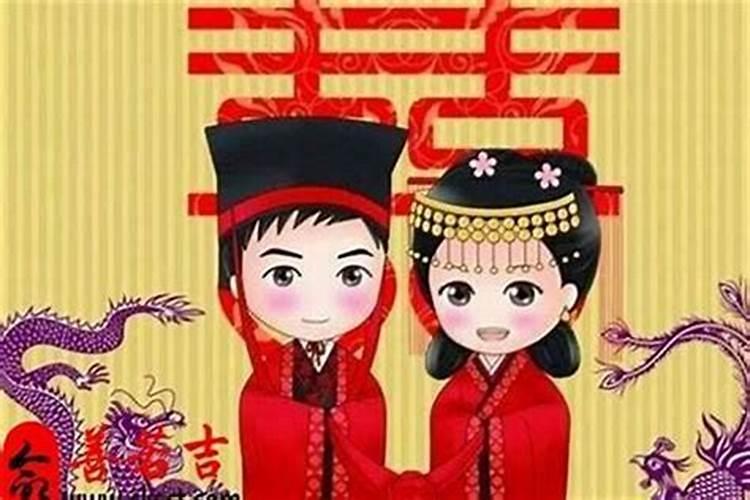 属兔子和什么属相不合,属兔的不能和什么属相在一起