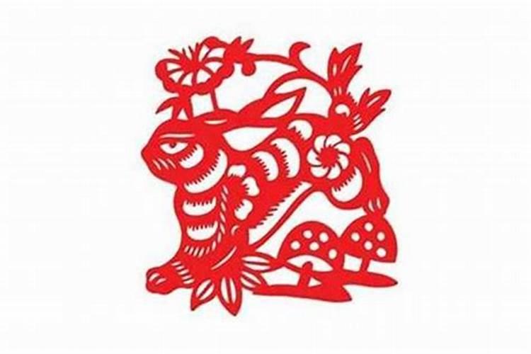 99属兔和00属龙不合吗