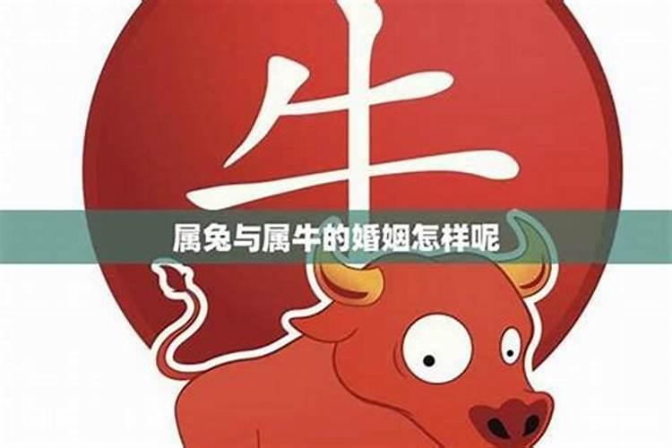 姻缘可以随便算吗？