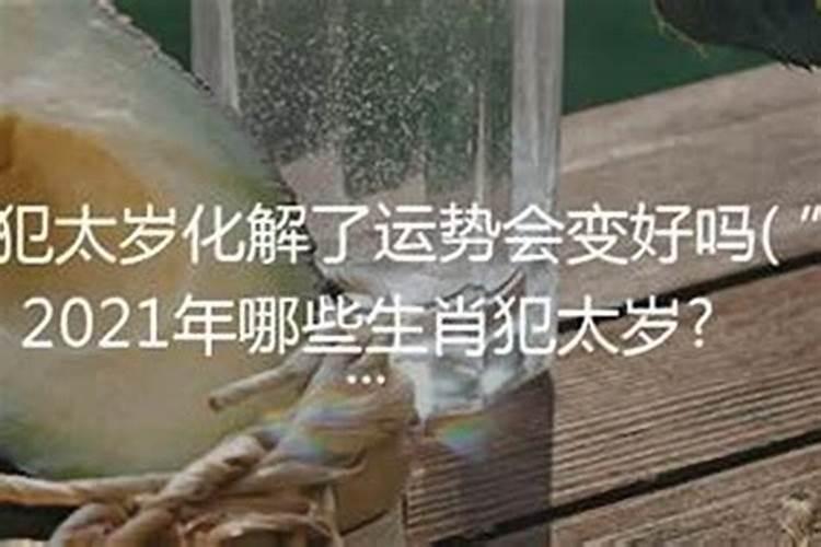 起名字测试打分100分