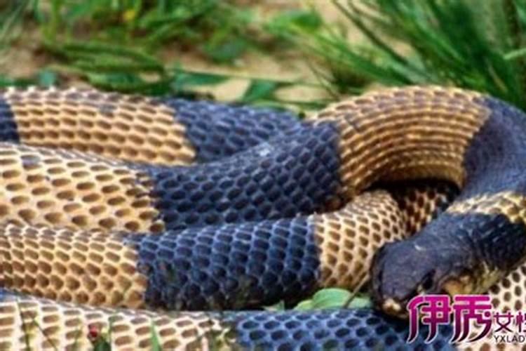 汇龙镇有什么好玩的地方,一一举例,地址说清楚点,悬赏不少哦!