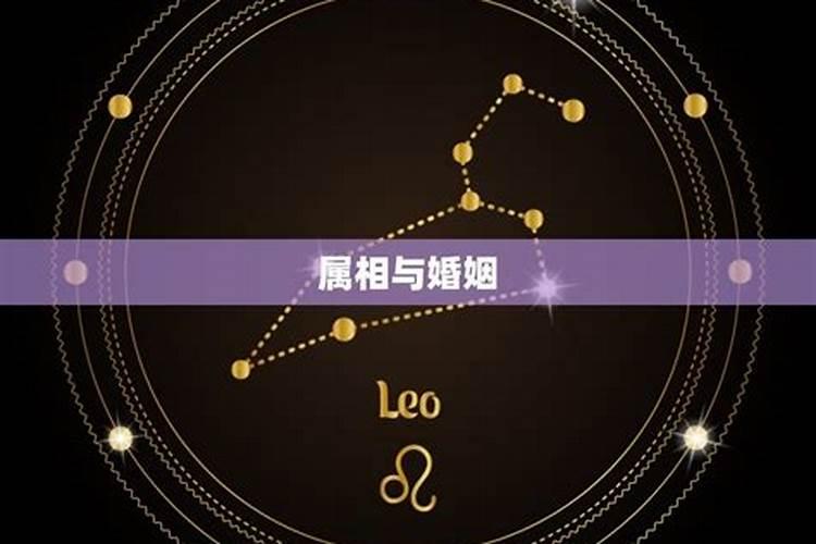 合婚看八字还是属相看八字