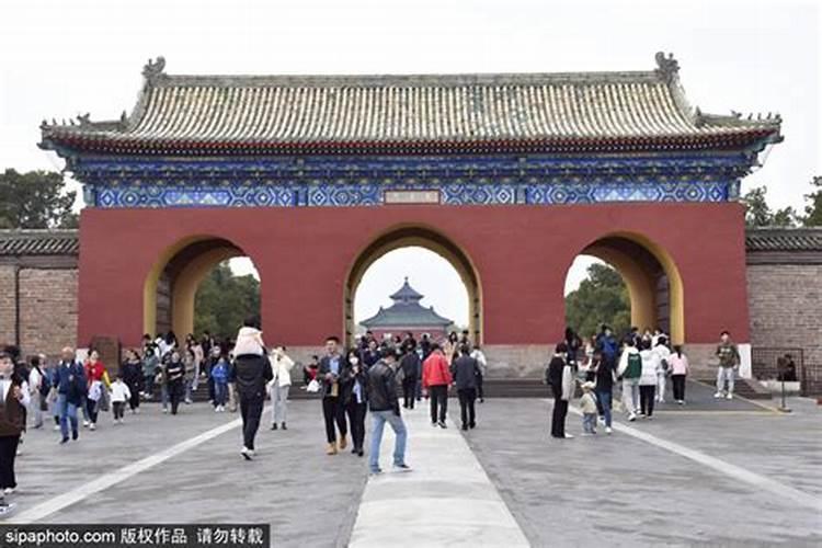 农历十一月出生的兔好吗