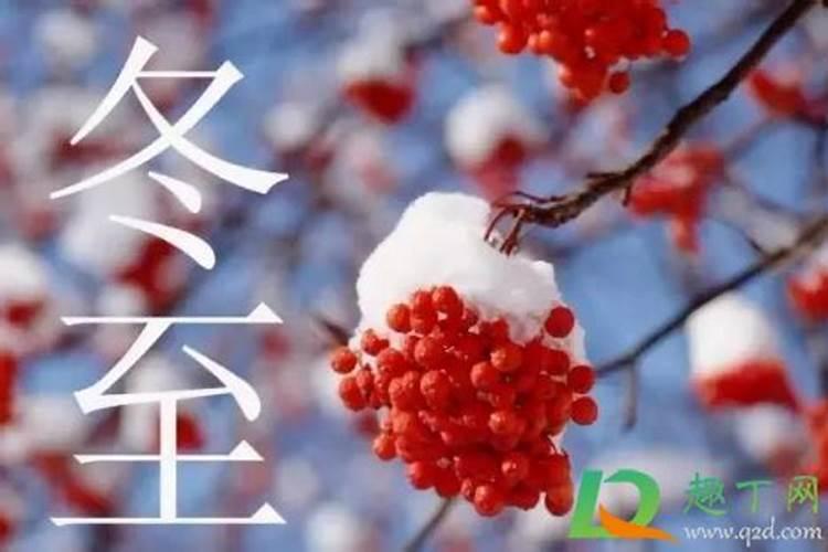 属牛的女性本命年佩戴什么好