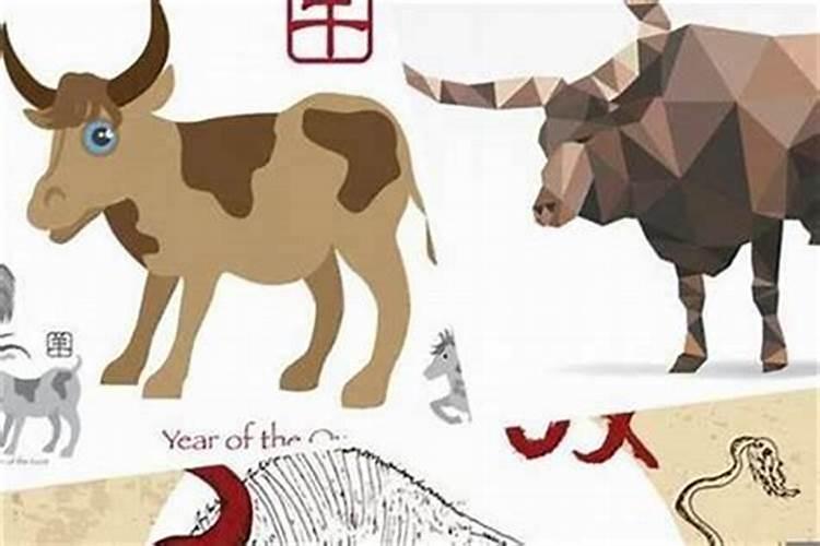 自从儿子结婚以后家里时运不顺,是什么原因？