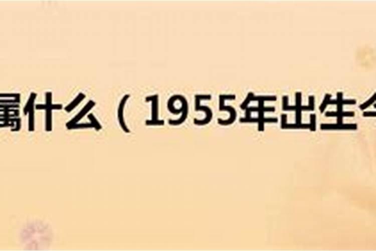 1970年属狗男士(55岁)2025年运势透视,看看每个月的好运