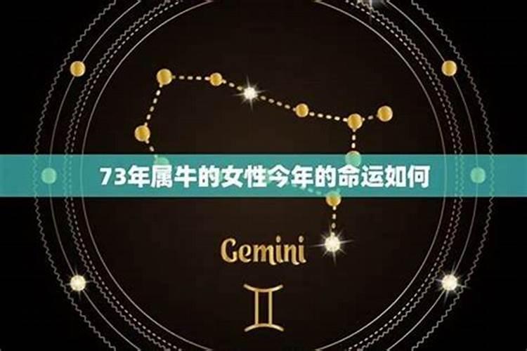 1973属牛2025年的运势及运程