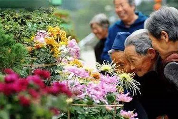 梦见耕后的田的预兆