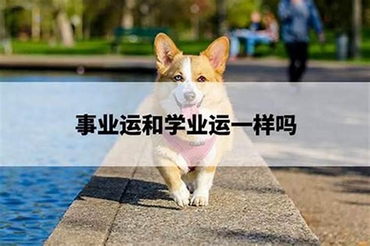 星座运势里的事业和学业一样吗？
