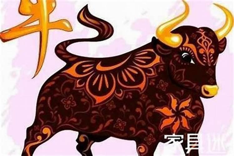 梦见大乌龟和大鱼的预兆