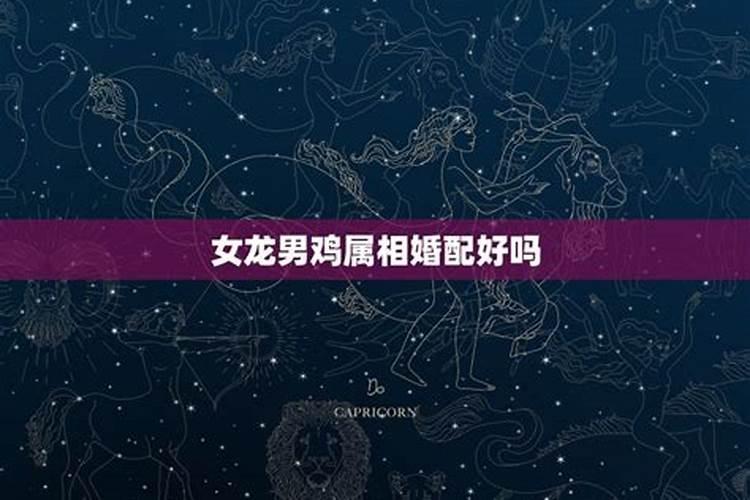男鸡女龙能过一辈子吗