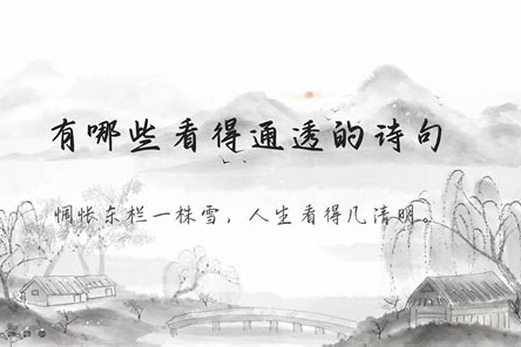 人生看得几清明是什么意思