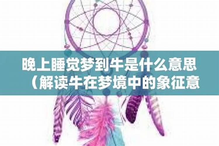 梦到牛是什么预兆周公解梦