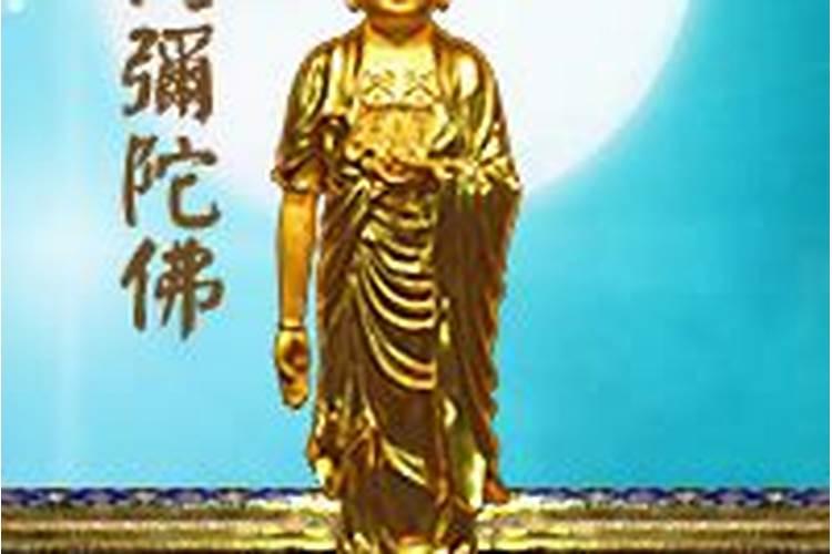 美人尖的女人是贵命吗事业进展顺利但财运不够好