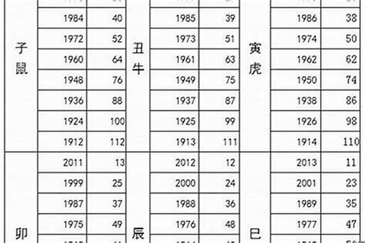 2025年属猪的人犯太岁吗
