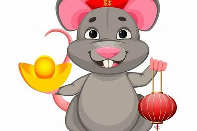 鼠年生人的命运如何？