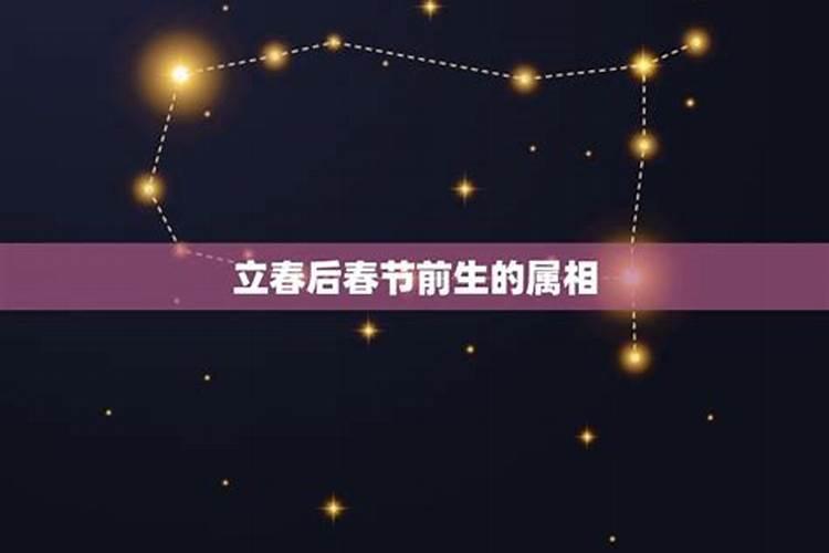 属鼠的几月出生最好命