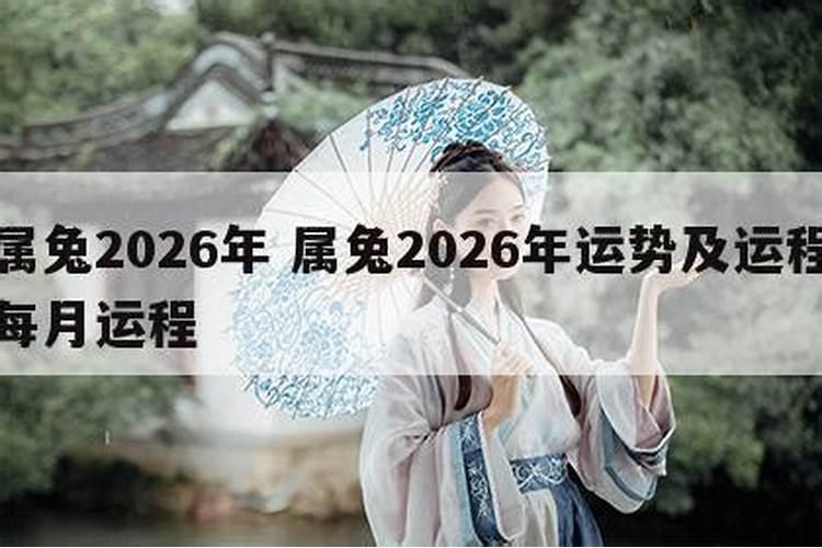 生肖兔1963年2025年运势如何 生肖兔1963年2025年全年运势