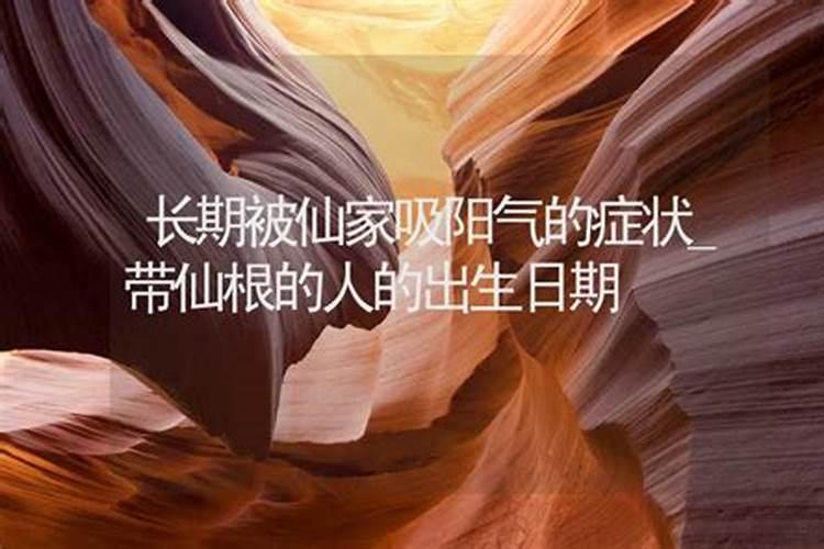 八字带仙根的特征与命理解析
