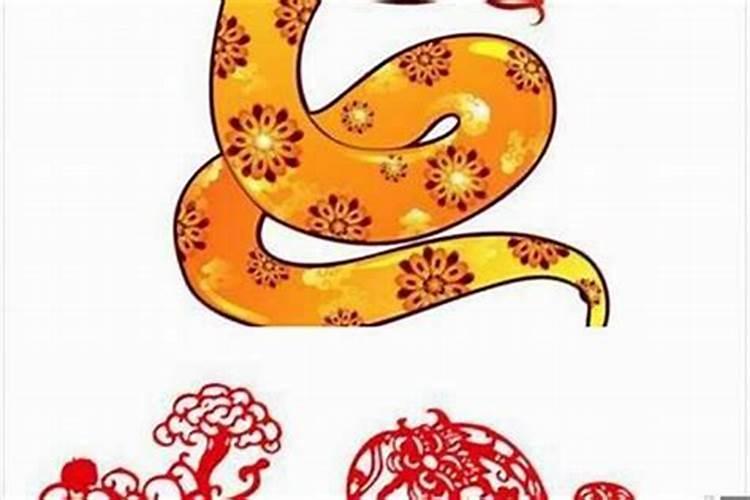 属蛇的和什么属相最配