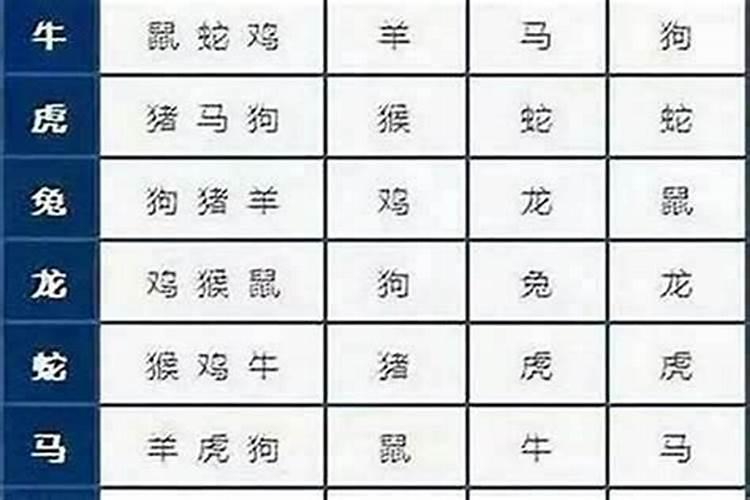 88年属龙的和什么属相的比较配啊？