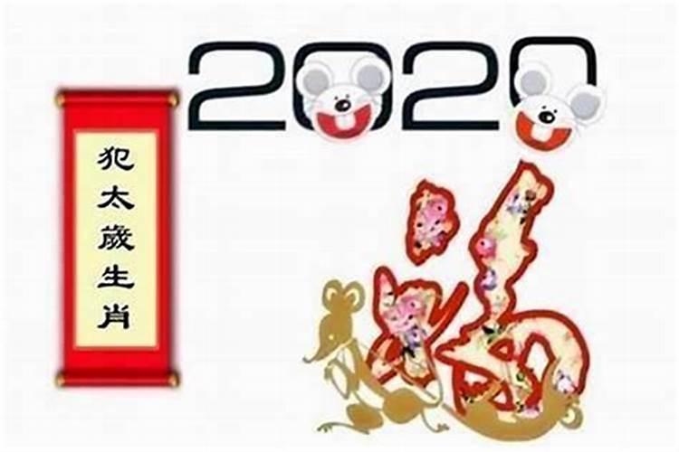 梦见小学女老师