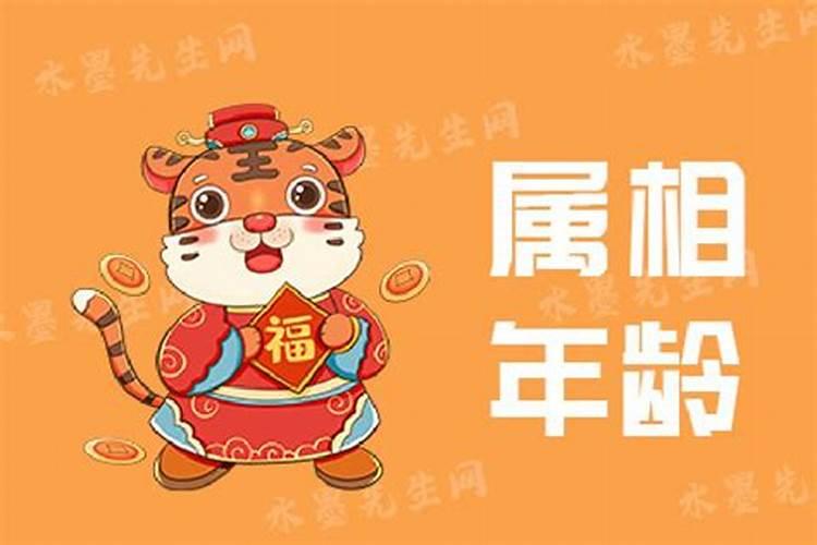 82年属狗何时走大运 贵人是谁？
