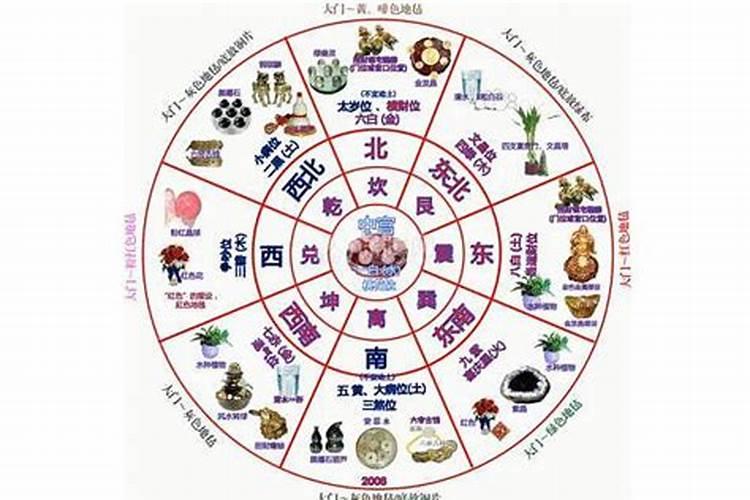 梦见南五味子叶的预兆