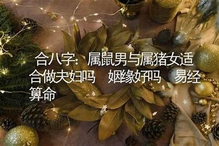 关于"头伏饺子"的名言有哪些？