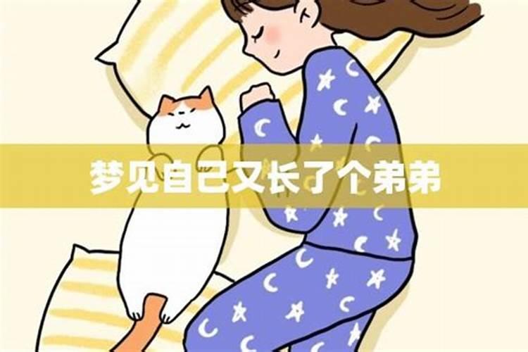 农历八月十五供什么菩萨 八月十五都给什么神仙上供