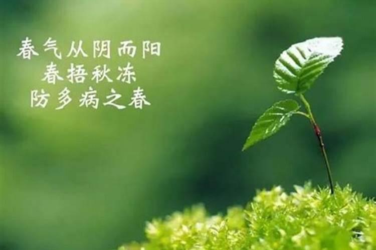 立春的时候注意什么