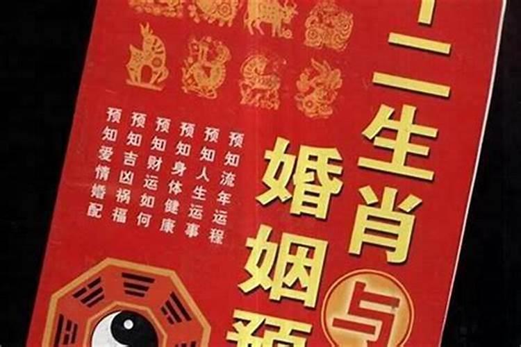 八字断婚姻