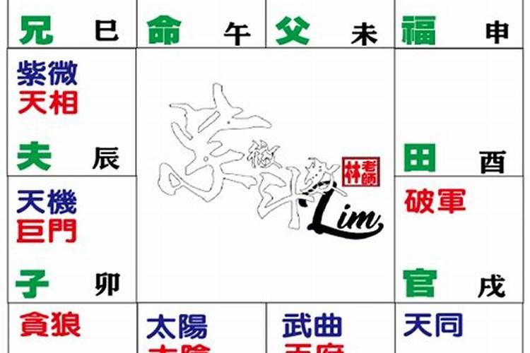 属马的人2025年运势及运程详解