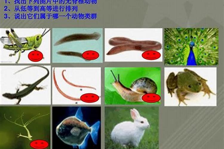 2025清明节可以烧纸吗