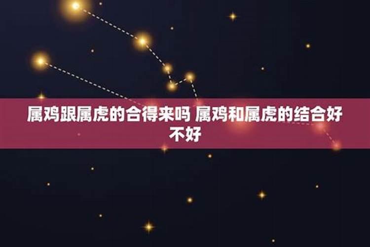 虎跟鸡在一起对谁不利
