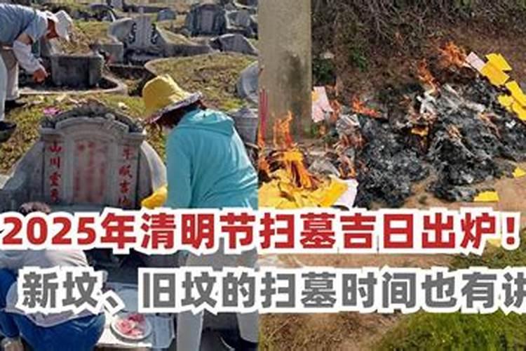 生肖猪1971年2025年运势如何 生肖猪1971年2025年全年运势
