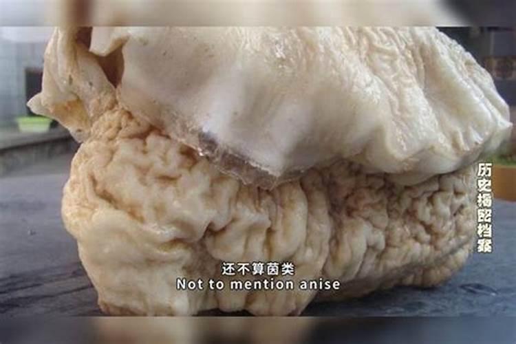 太岁是什么东西