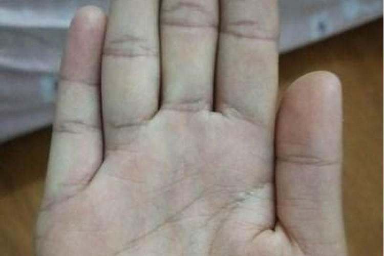 属兔的犯太岁应该带什么生肖？