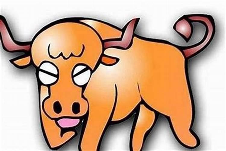 牛女狗男属相婚配好吗,85年属牛一生三大劫难