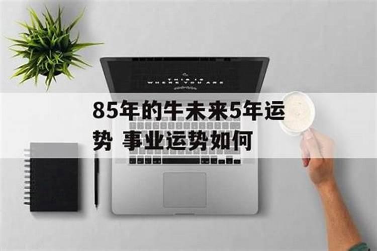 1985属牛女2025年的运气和财运怎么样