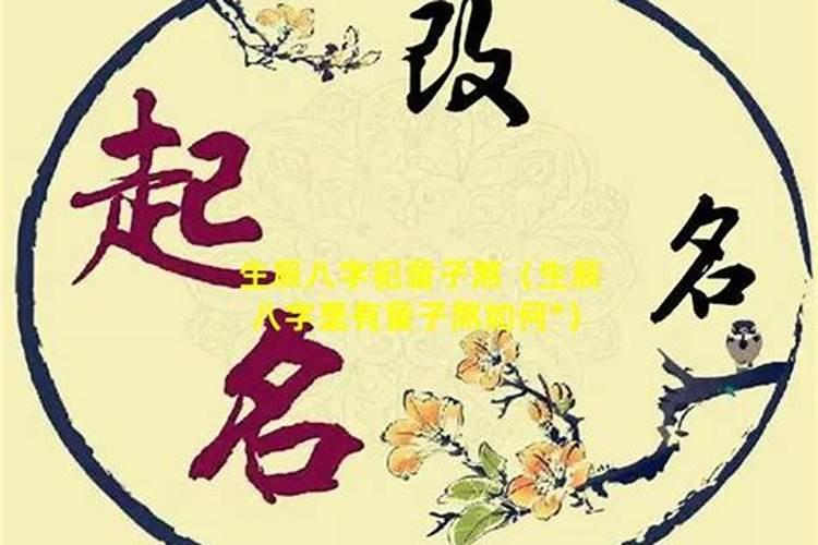 日柱童子代表什么