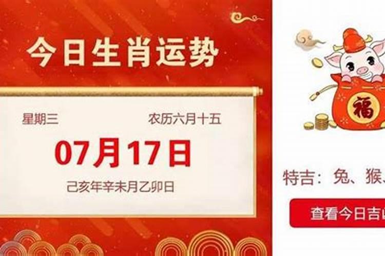 猪年哪个属相犯太岁