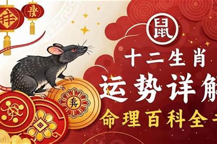 八字十二地支三合六合详细解说