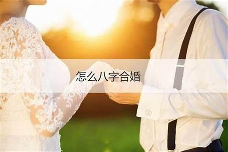 一般合八字合几个最好