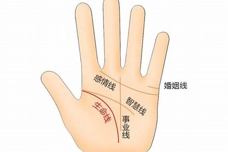 股票生命线怎么看？
