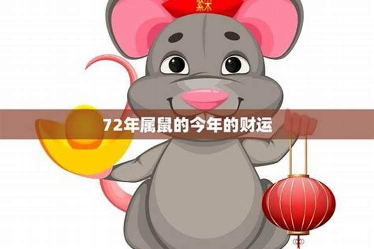 一九七二年鼠人今年逐月运势,1972年属鼠未来5年运势