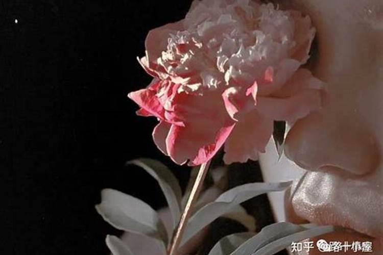 所谓婚姻是什么:最完美的婚姻该是什么样子