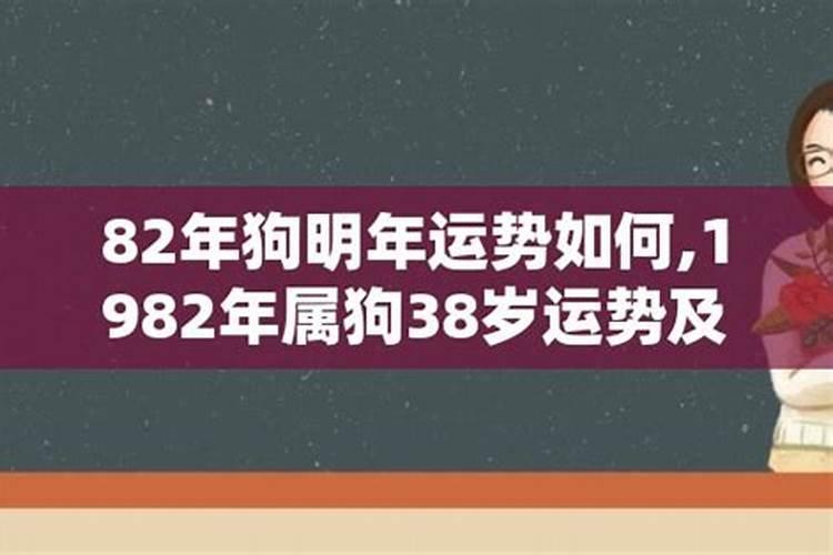 82狗2025年运势及运程